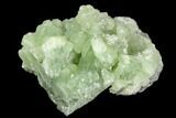 Green Prehnite Crystal Cluster - Morocco #108722-1